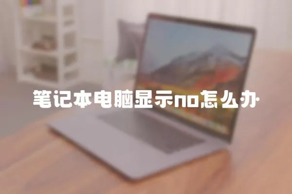 筆記本電腦顯示no怎么辦