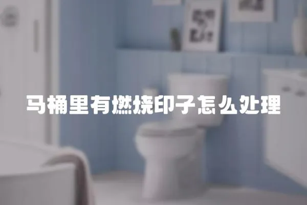 馬桶里有燃燒印子怎么處理