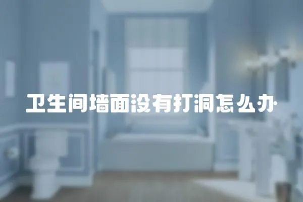 衛生間墻面沒有打洞怎么辦