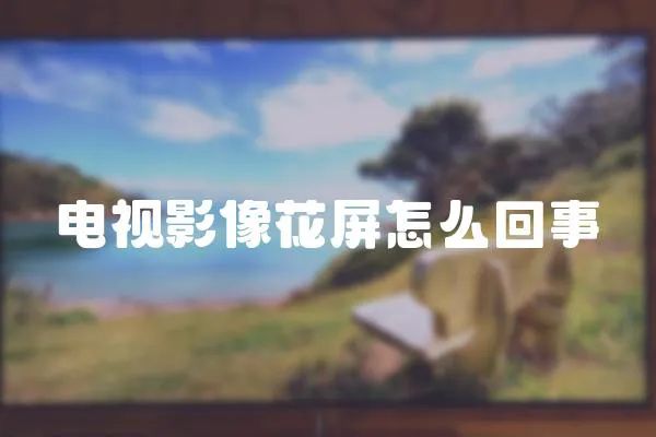 電視影像花屏怎么回事