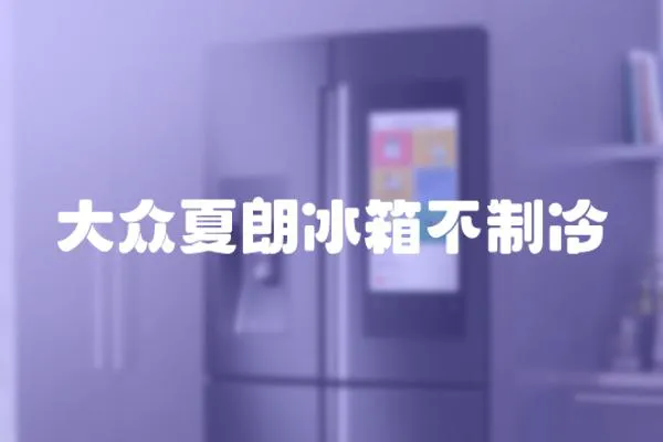 大眾夏朗冰箱不制冷
