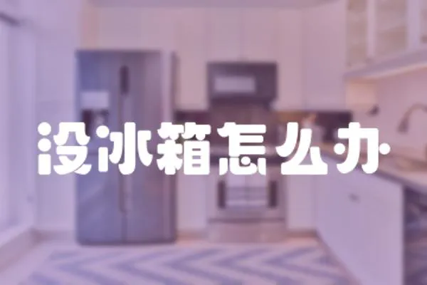 沒冰箱怎么辦