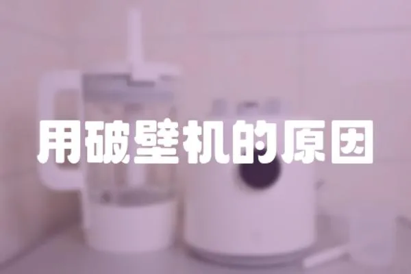 用破壁機(jī)的原因