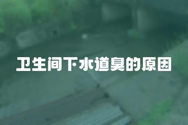 衛(wèi)生間下水道臭的原因