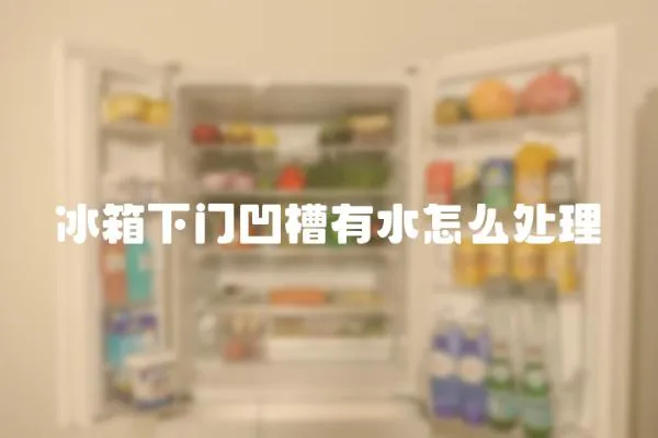 冰箱下門凹槽有水怎么處理