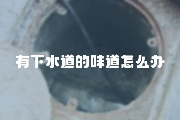 有下水道的味道怎么辦