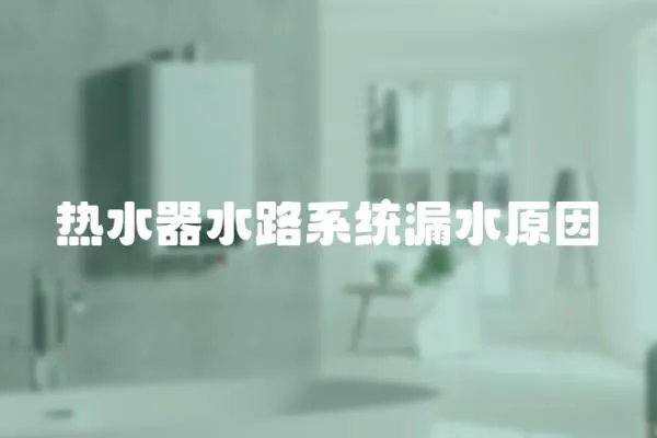 熱水器水路系統漏水原因