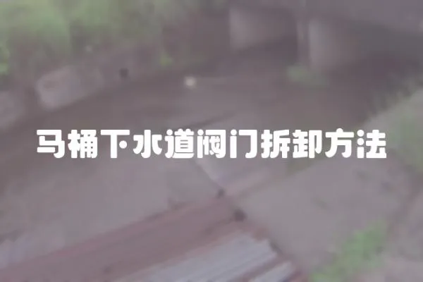 馬桶下水道閥門拆卸方法
