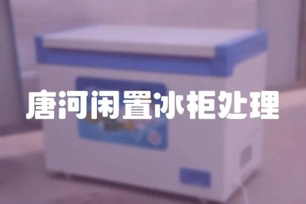 唐河閑置冰柜處理