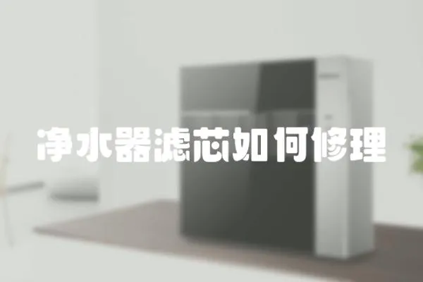 凈水器濾芯如何修理
