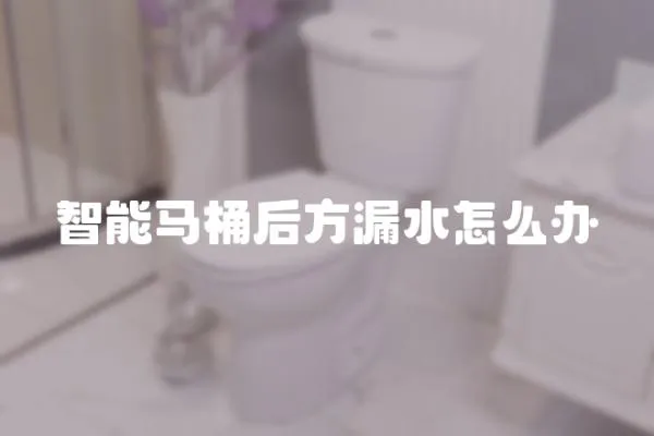 智能馬桶后方漏水怎么辦