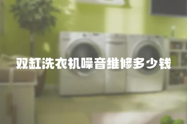 雙缸洗衣機噪音維修多少錢