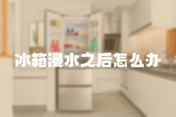 冰箱浸水之后怎么辦