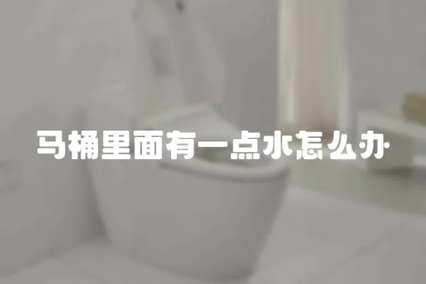 馬桶里面有一點水怎么辦