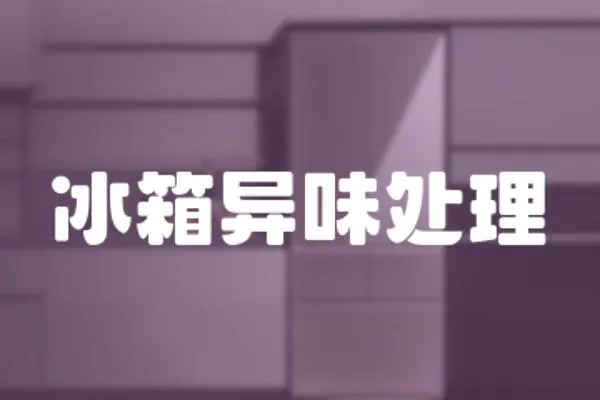 冰箱異味處理
