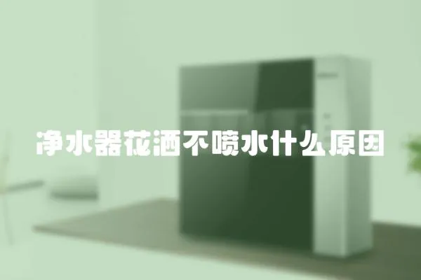 凈水器花灑不噴水什么原因