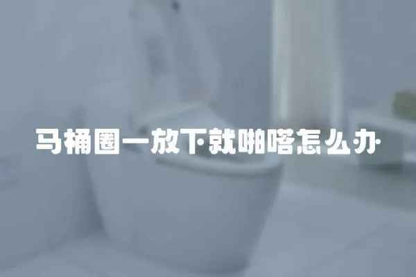 馬桶圈一放下就啪嗒怎么辦