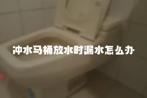 沖水馬桶放水時漏水怎么辦