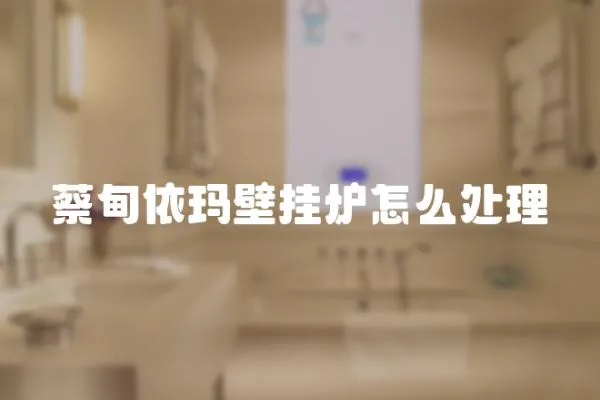 蔡甸依瑪壁掛爐怎么處理