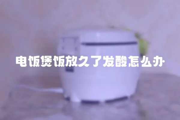 電飯煲飯放久了發酸怎么辦