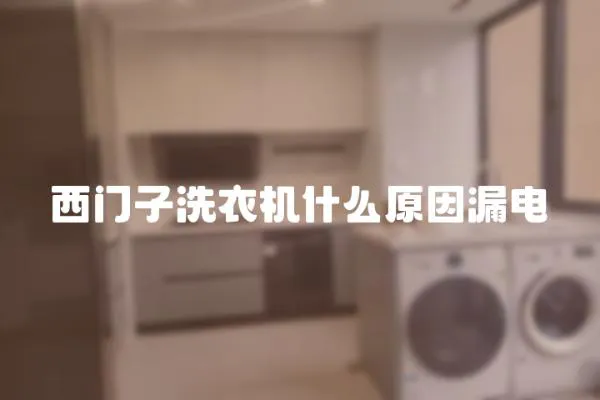 西門子洗衣機什么原因漏電