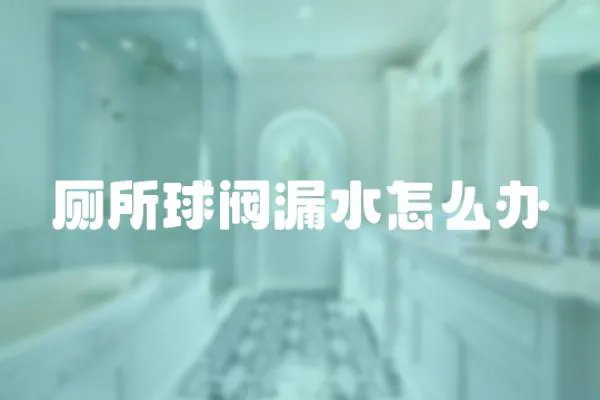 廁所球閥漏水怎么辦