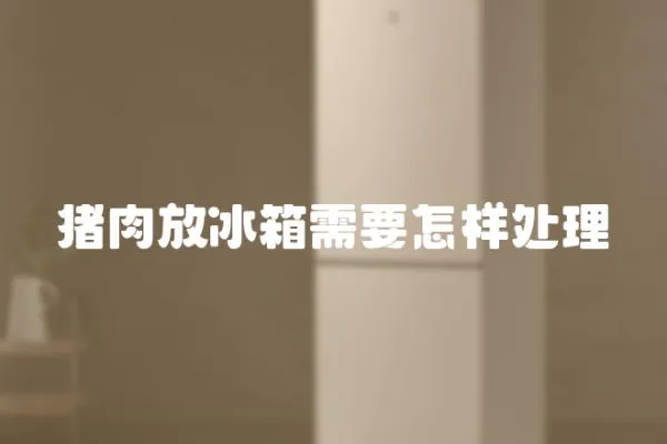 豬肉放冰箱需要怎樣處理