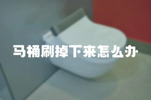 馬桶刷掉下來怎么辦