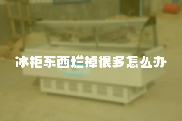 冰柜東西爛掉很多怎么辦
