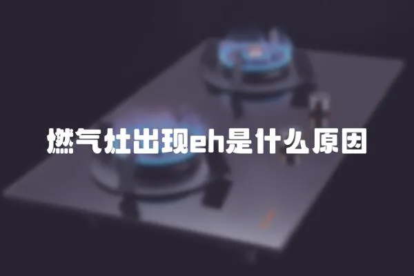 燃?xì)庠畛霈F(xiàn)eh是什么原因
