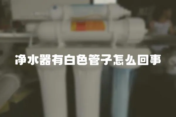 凈水器有白色管子怎么回事