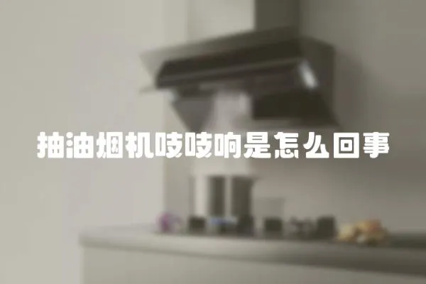 抽油煙機吱吱響是怎么回事