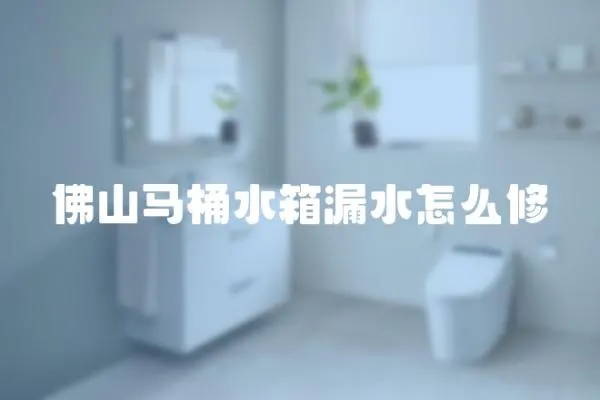 佛山馬桶水箱漏水怎么修