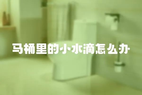 馬桶里的小水滴怎么辦