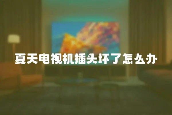 夏天電視機插頭壞了怎么辦