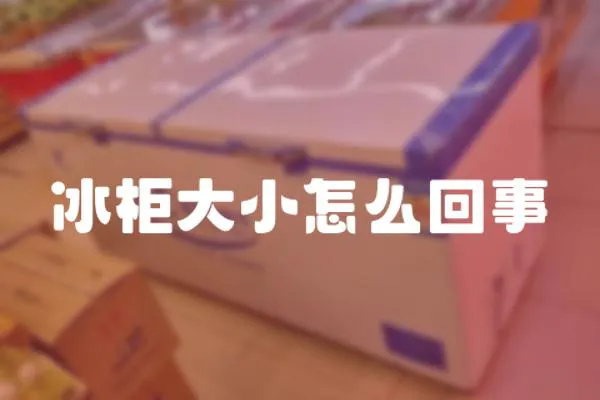 冰柜大小怎么回事