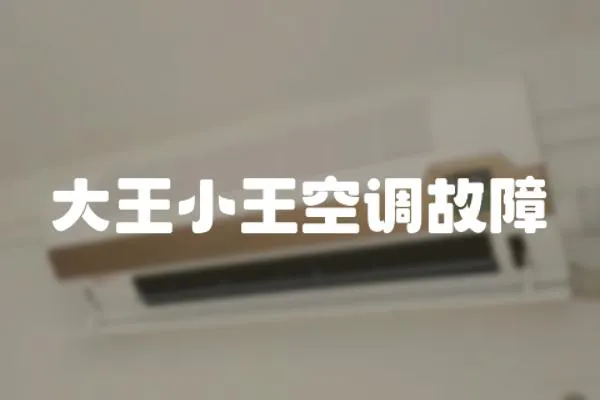 大王小王空調故障