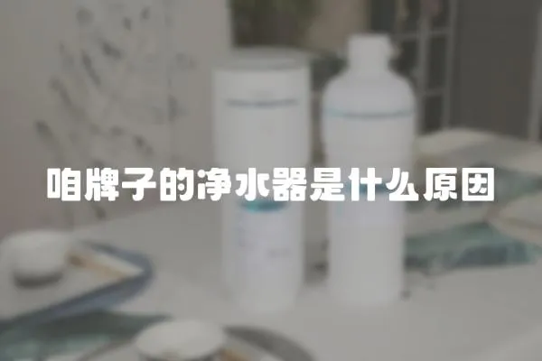 咱牌子的凈水器是什么原因