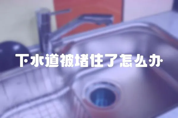 下水道被堵住了怎么辦