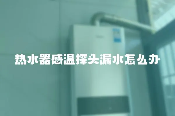 熱水器感溫探頭漏水怎么辦
