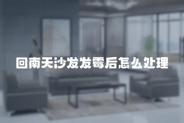 回南天沙發發霉后怎么處理
