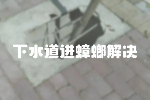 下水道進(jìn)蟑螂解決
