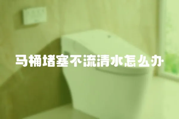 馬桶堵塞不流清水怎么辦