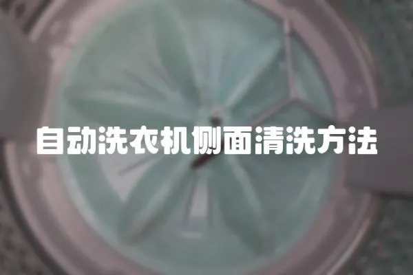 自動洗衣機側面清洗方法
