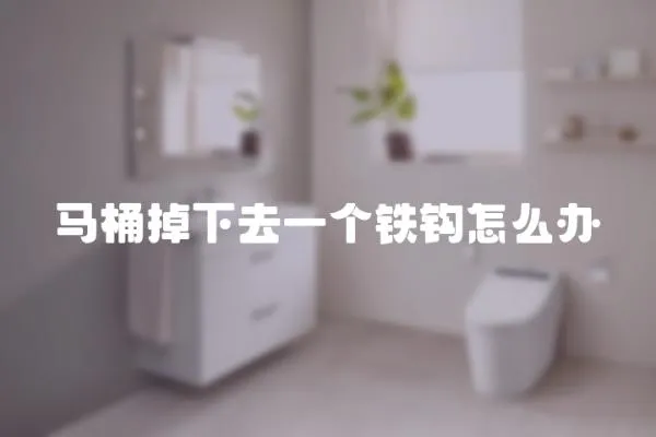 馬桶掉下去一個鐵鉤怎么辦