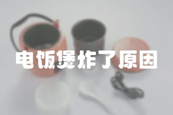 電飯煲炸了原因