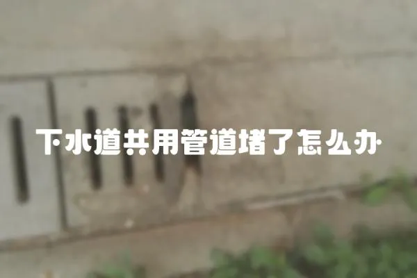 下水道共用管道堵了怎么辦