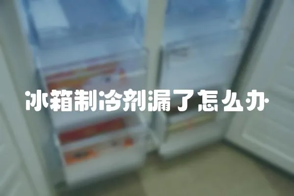 冰箱制冷劑漏了怎么辦