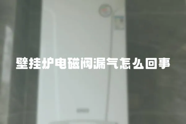 壁掛爐電磁閥漏氣怎么回事