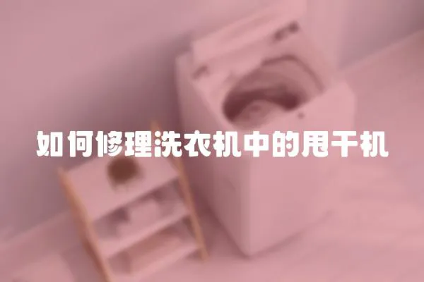 如何修理洗衣機中的甩干機